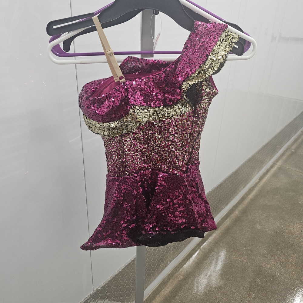 Pink and Gold Sequin One-Shoulder Costume